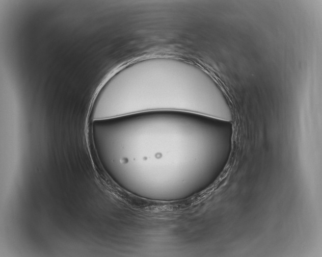 X0000110320100200905211214