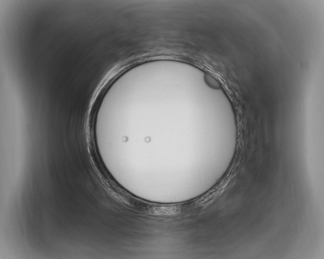 X0000110320102200905211214