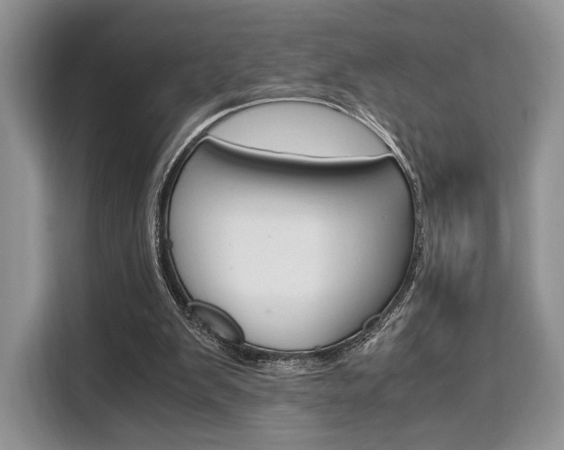 X0000110320103200905211214