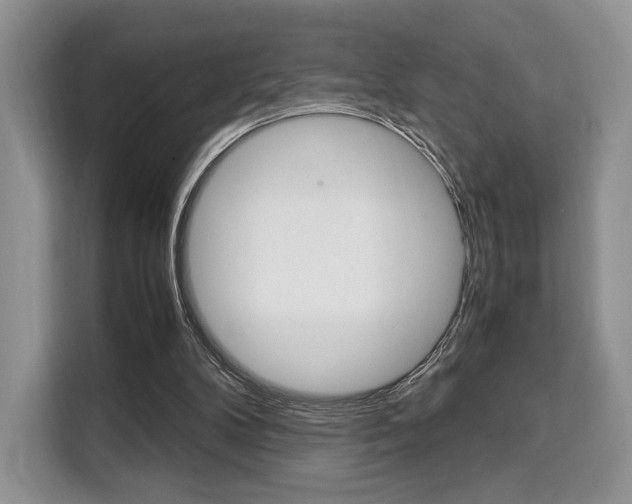 X0000110320104200905211214