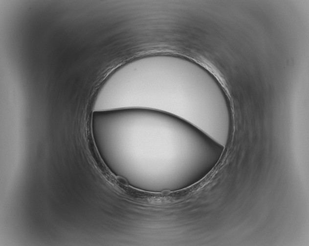 X0000110320105200905211214