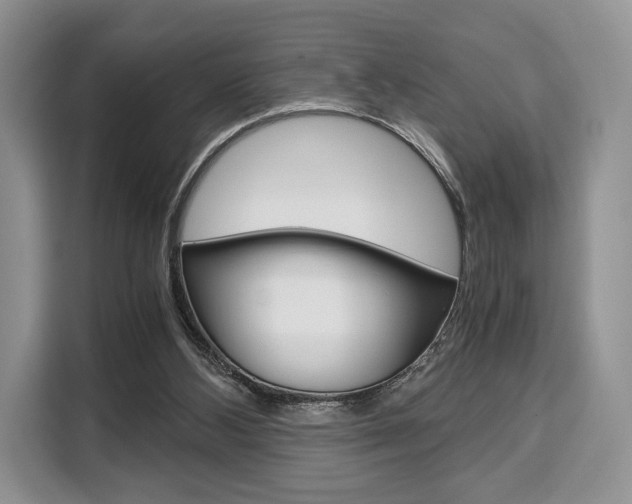 X0000110320108200905211214