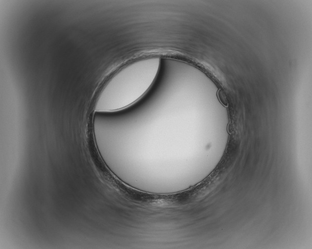 X0000110320111200905211213
