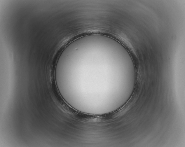 X0000110320116200905211213