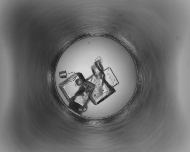 X0000110320117200905211213