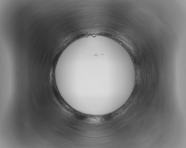 X0000110320118200905211213