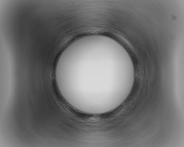 X0000110320119200905211213