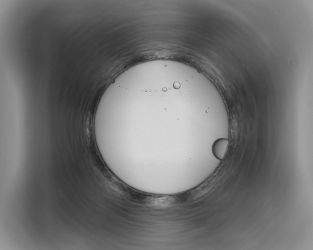 X0000110320122200905211213