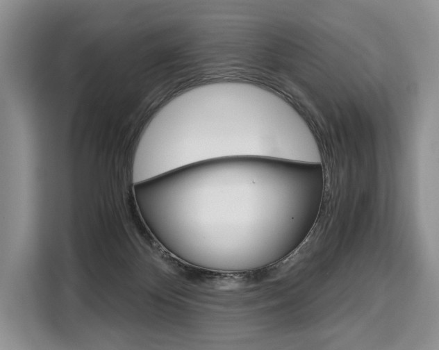 X0000110320124200905211213