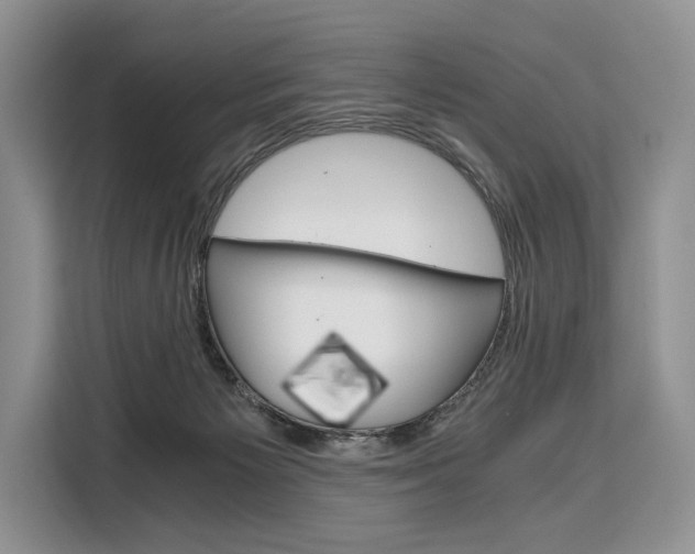 X0000110320125200905211213