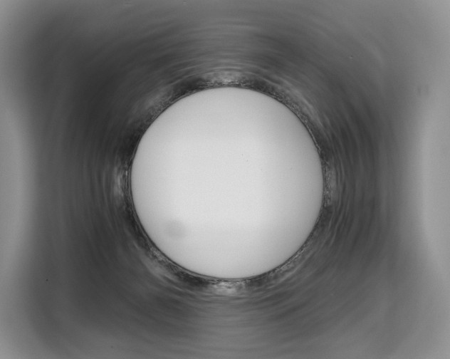 X0000110320126200905211213