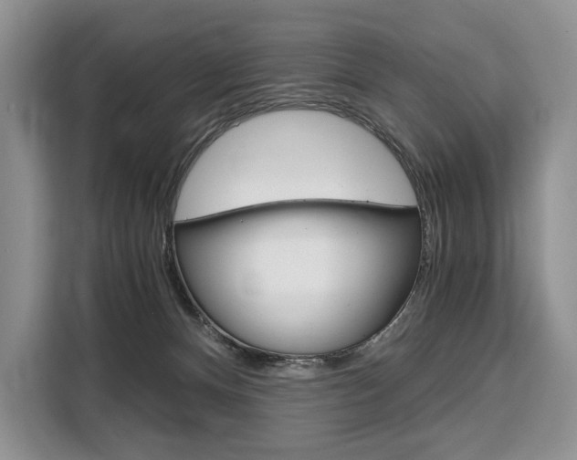 X0000110320128200905211213