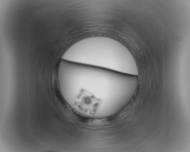 X0000110320129200905211213