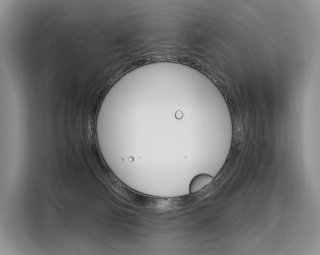 X0000110320130200905211213