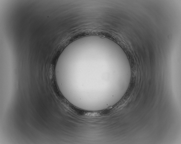 X0000110320133200905211213