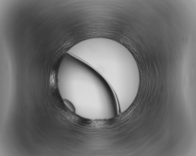 X0000110320143200905211213