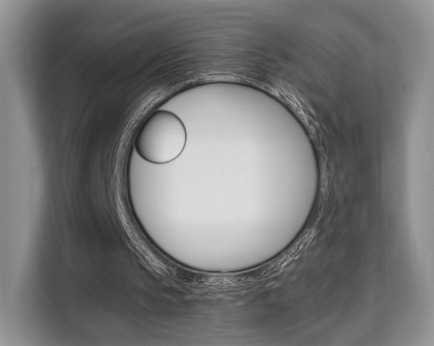 X0000110320145200905211212