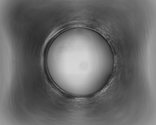 X0000110320150200905211212