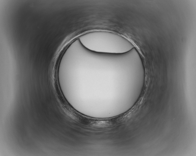 X0000110320151200905211212