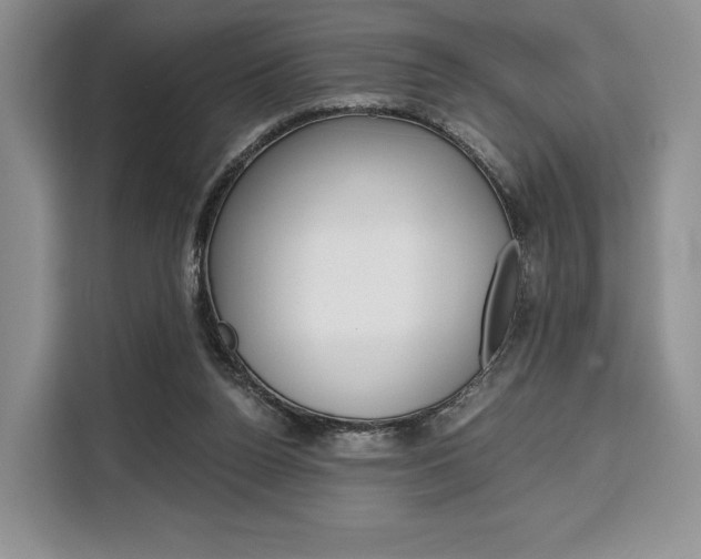 X0000110320160200905211213