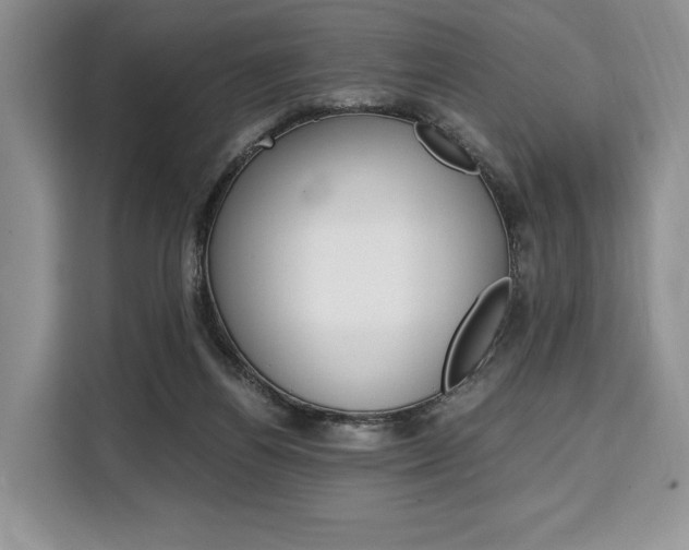 X0000110320164200905211213
