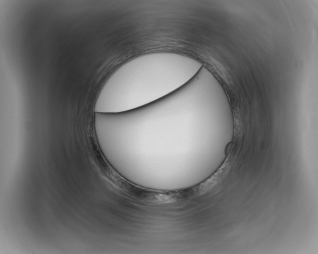 X0000110320166200905211213