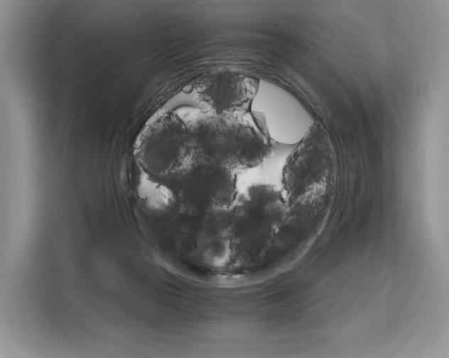 X0000110320169200905211213
