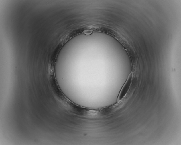 X0000110320176200905211213