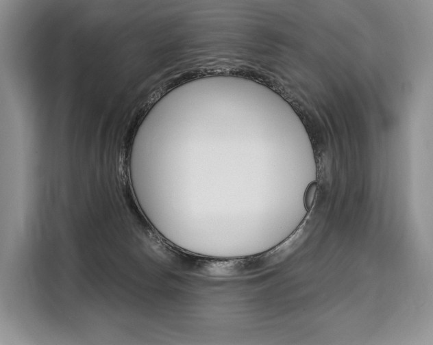 X0000110320178200905211213
