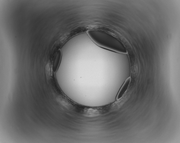 X0000110320180200905211213