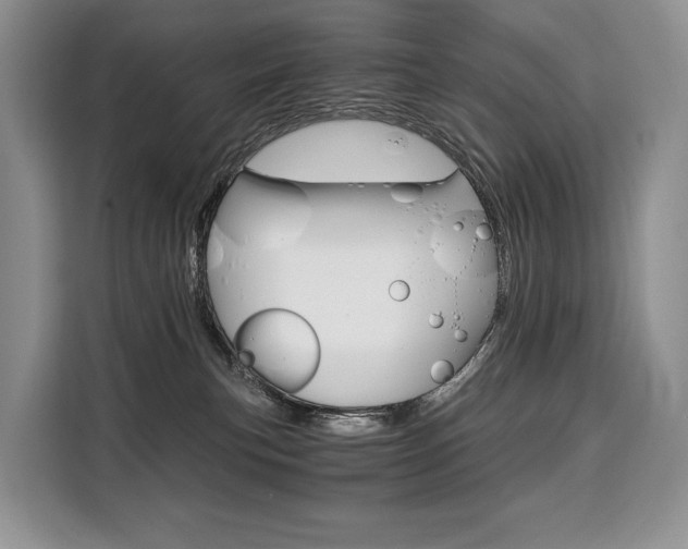 X0000110320183200905211213