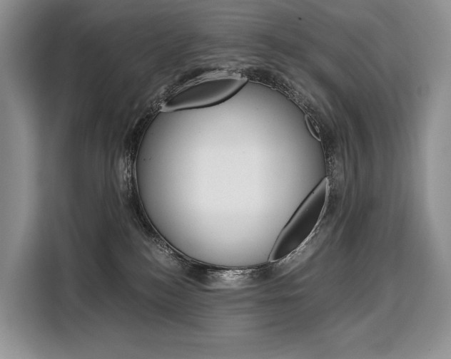 X0000110320184200905211213