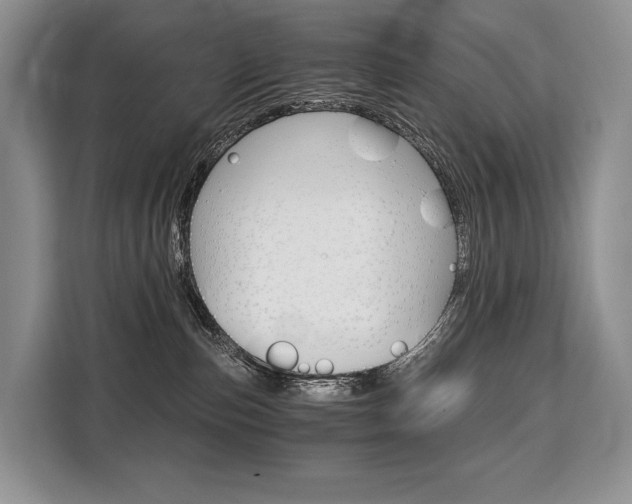 X0000110320187200905211213