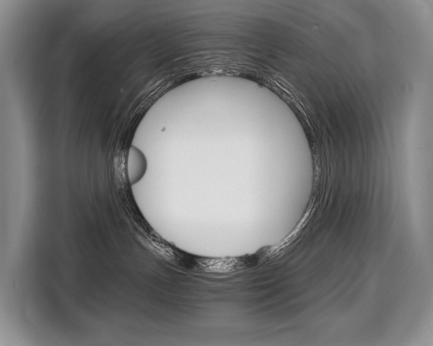 X0000110320191200905211213