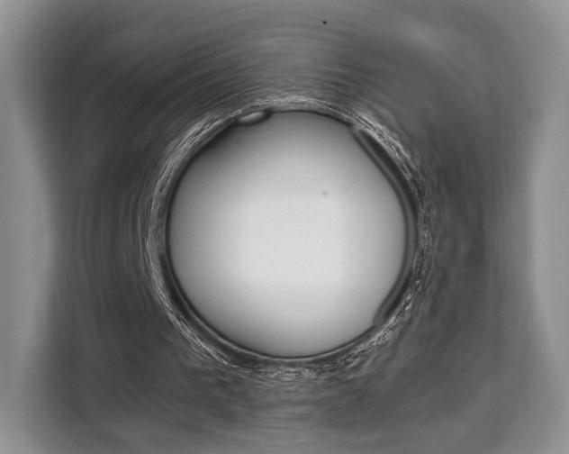 X0000110320193200905211212