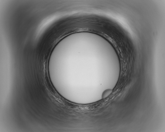X0000110320194200905211212