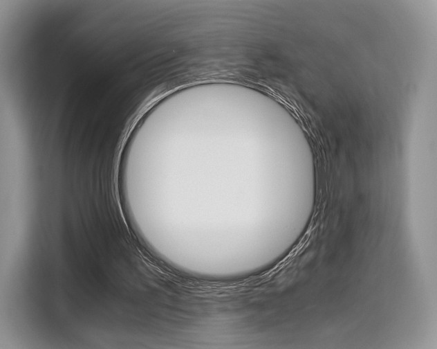 X0000110320195200905211212
