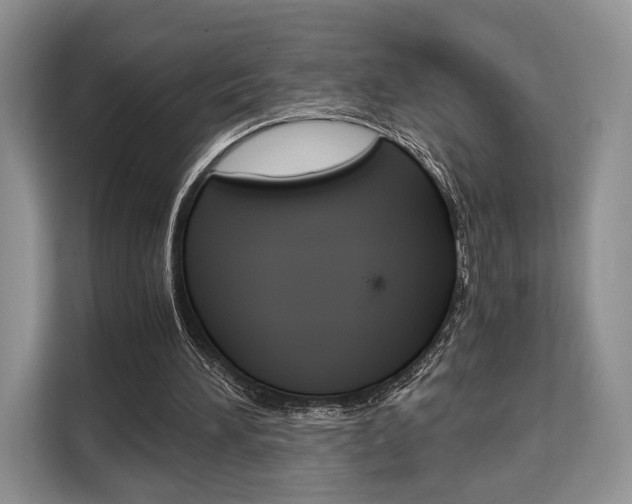 X0000110320196200905211212