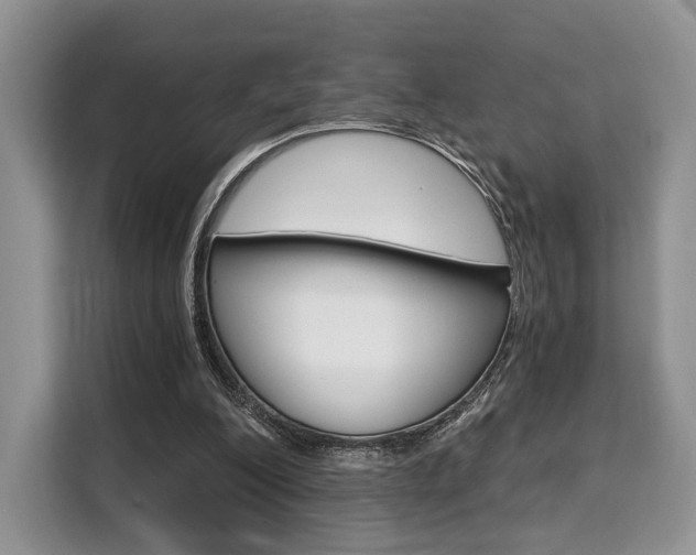 X0000110320200200905211212