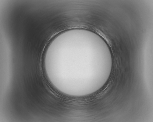 X0000110320203200905211212