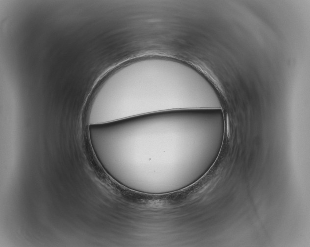X0000110320204200905211212