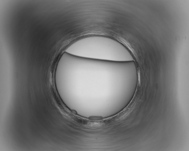 X0000110320205200905211212