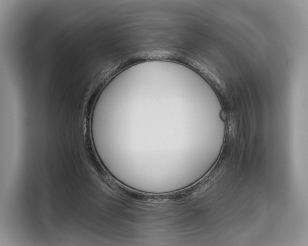 X0000110320206200905211212