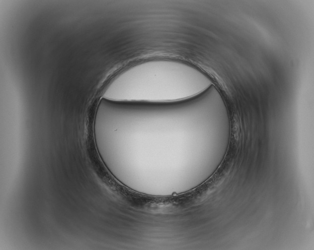X0000110320208200905211212