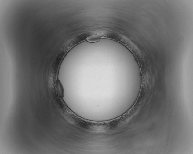 X0000110320209200905211212
