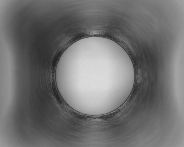 X0000110320210200905211212