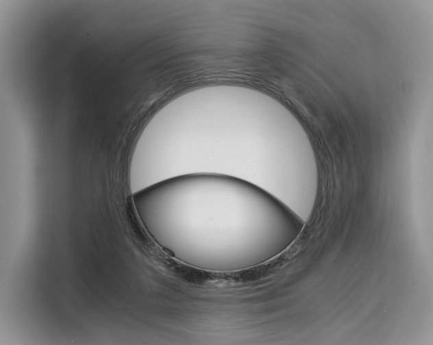 X0000110320211200905211212