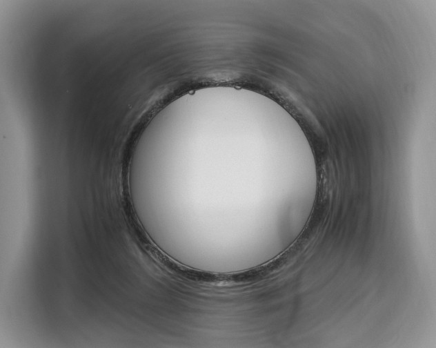 X0000110320212200905211212