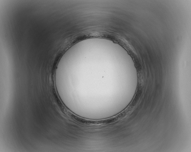 X0000110320213200905211212