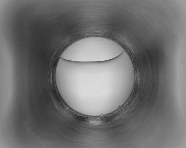 X0000110320214200905211212